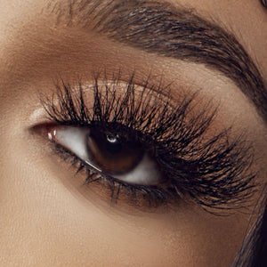 Lay Lash